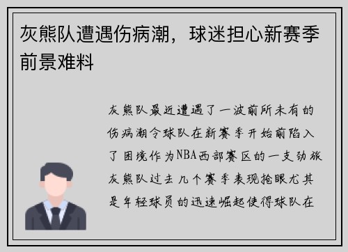 灰熊队遭遇伤病潮，球迷担心新赛季前景难料
