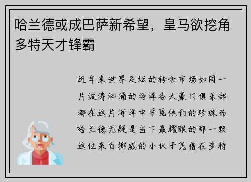 哈兰德或成巴萨新希望，皇马欲挖角多特天才锋霸
