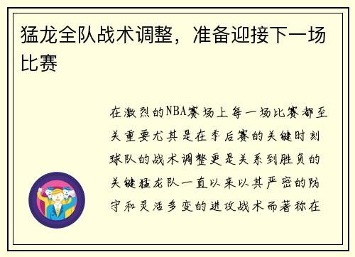 猛龙全队战术调整，准备迎接下一场比赛