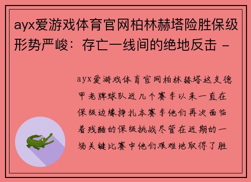 ayx爱游戏体育官网柏林赫塔险胜保级形势严峻：存亡一线间的绝地反击 - 副本