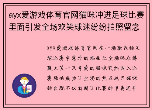 ayx爱游戏体育官网猫咪冲进足球比赛里面引发全场欢笑球迷纷纷拍照留念